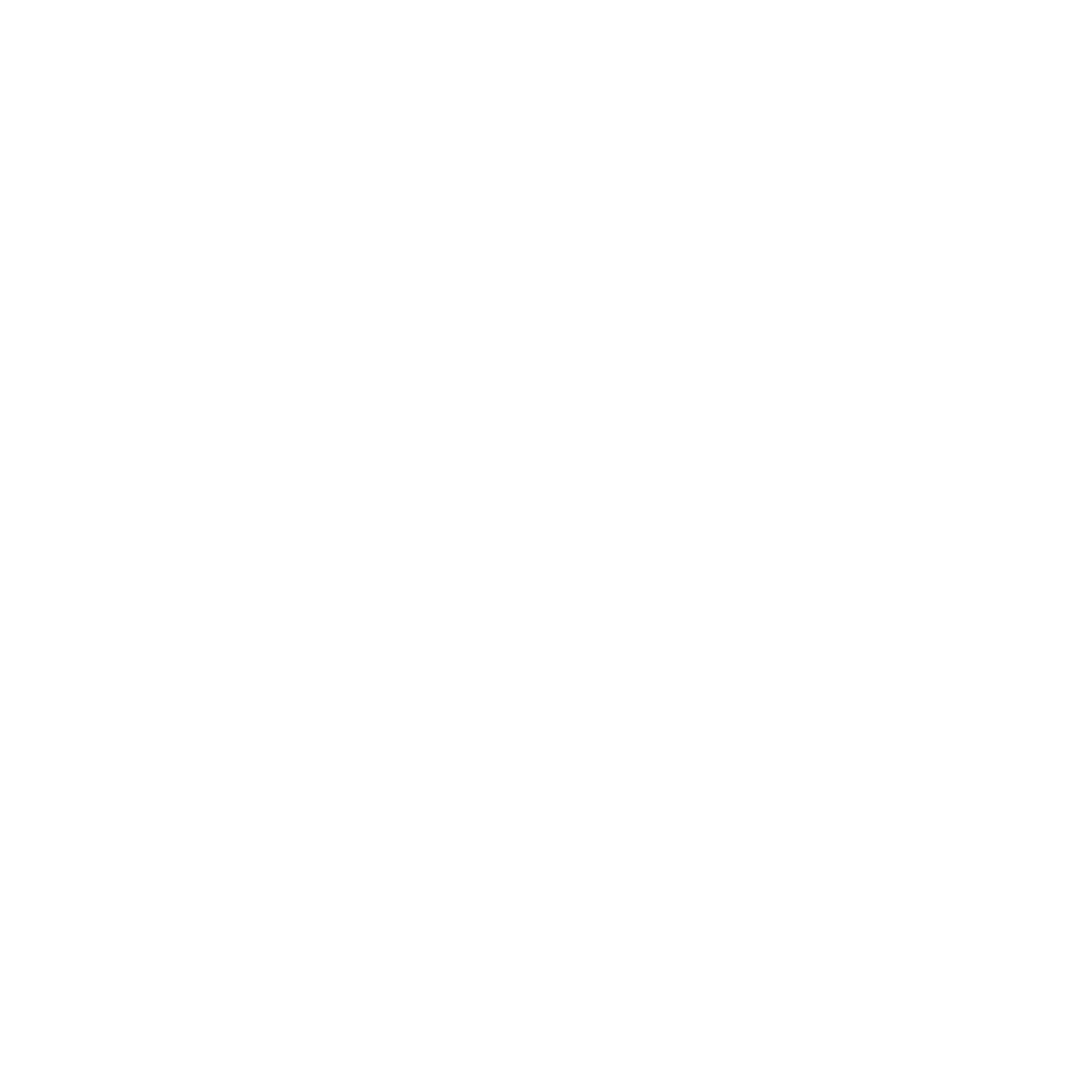 Success line Logo footer